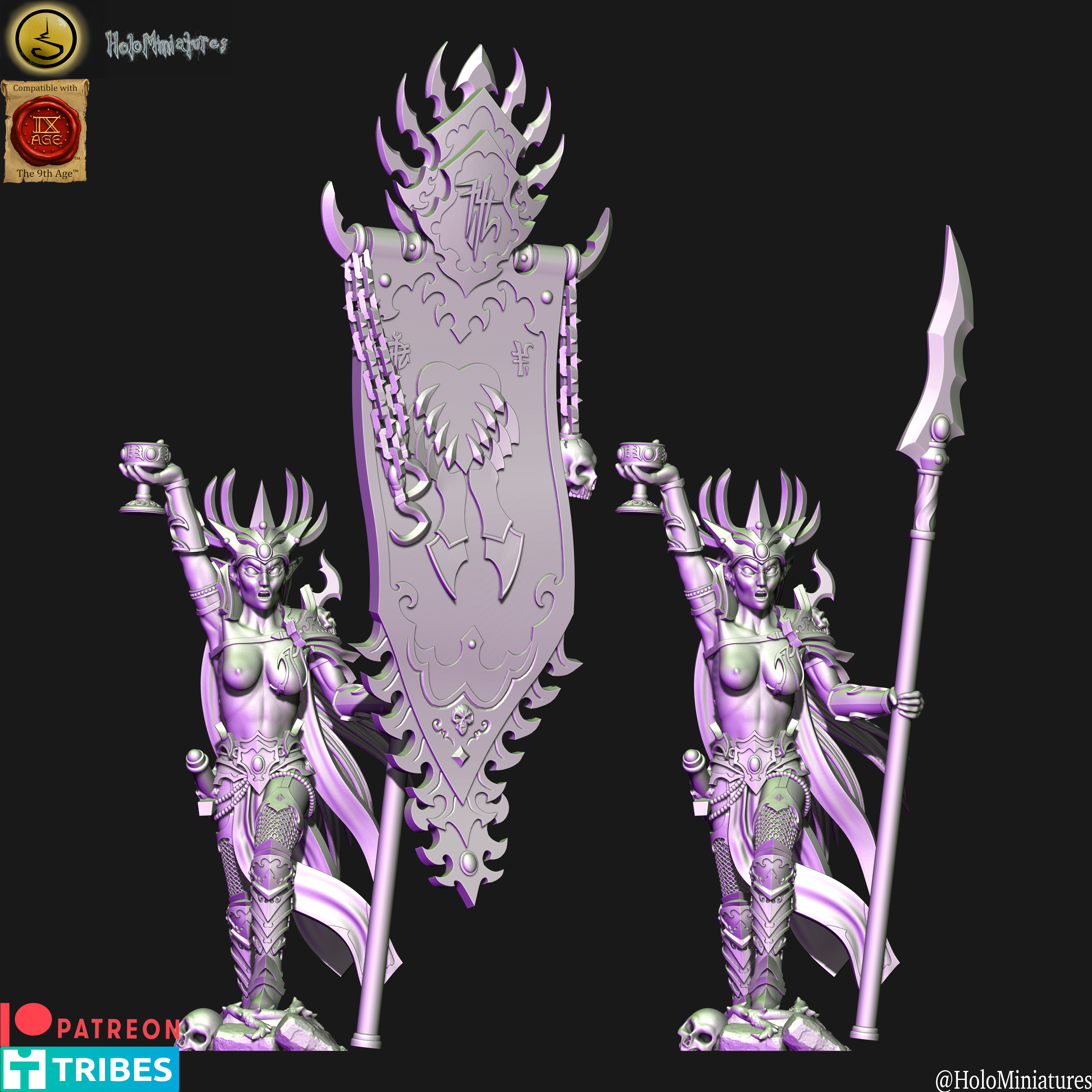 Dark elves Death hag BSB (elf)